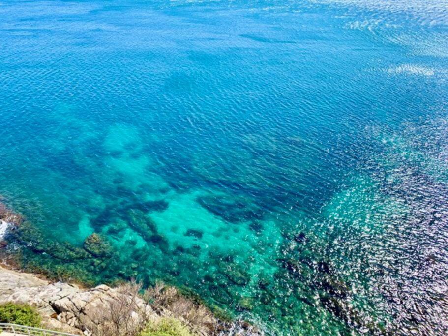 Les Pieds Dans L'Eau, La Tete Dans Les Nuages, Roses Daire Dış mekan fotoğraf